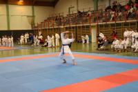 Karate Landesmeisterschaft in Herzogenburg